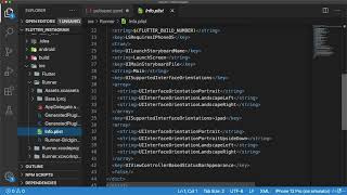 1  Pubspec, Info plist, and Android Manifest Setup