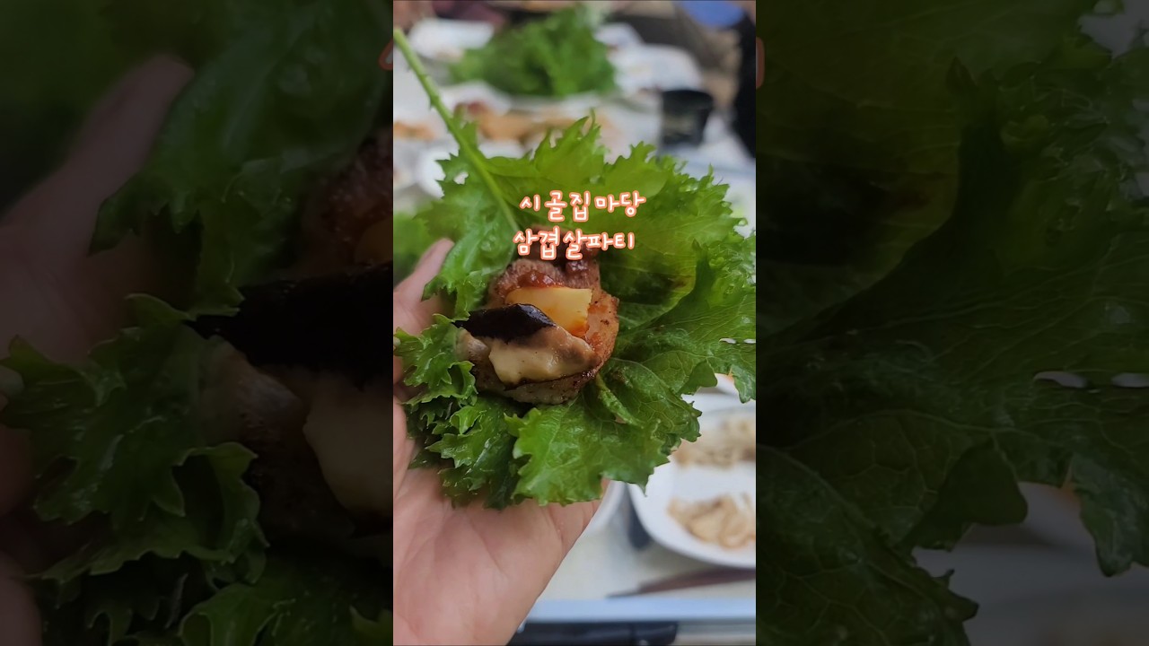 #밥많이먹어 #솥뚜껑삼겹살파티 #시골집마당