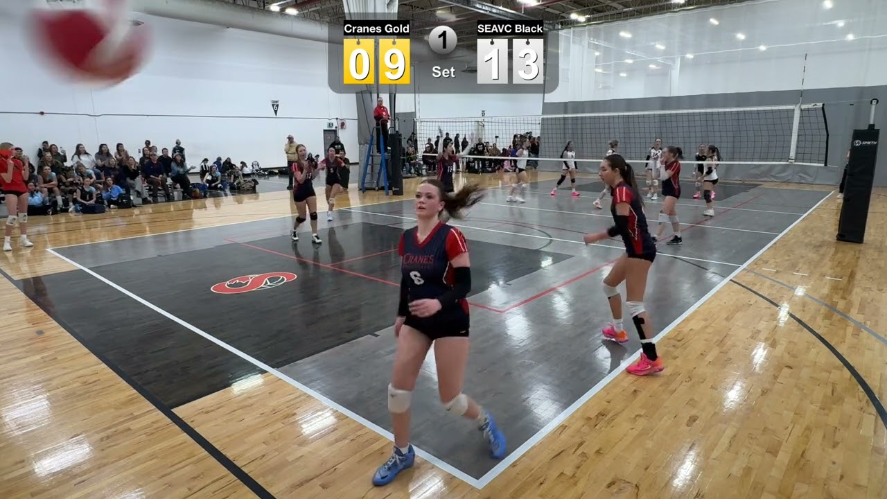 Cranes Gold vs SEAVC Black at AVA1 Feb22-2026