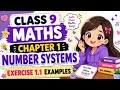 Exercise 1.1 Examples || Class 9 Maths || Number Systems || Step By Step Explanation ||