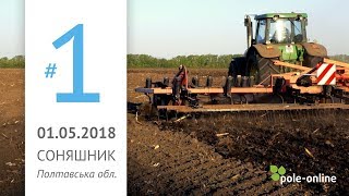 Поле-онлайн. Соняшник - Полтавська область 01.05.2018