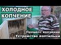 Холодное копчение рыбы
