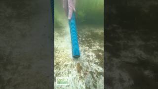 Water Change - Siphon @Dustinsfishtanks