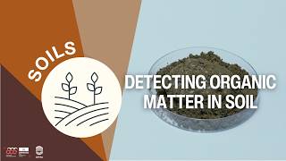 Detecting Organic Matter in Soil I Classroom Experiment Identifying Soil Structure With The Texture Triangle I Classroom Experiment