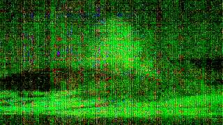 20130325_OF at night