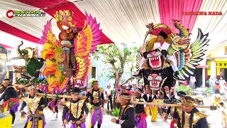 Resiko Wong Setia || Burok Pandawa Nada Terbaru Live Asem Doyong Pemalang 28 November 2025