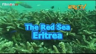 Red Sea Resources (Eritrea)