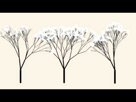 Fractal Trees Processing