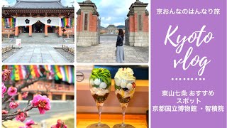 【京都vlog】京都観光 Kyoto 京都カフェ｜東山七条｜京都国立博物館｜智積院｜