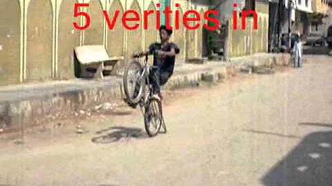 Sheri and Sameer Wheeler 05.wmv