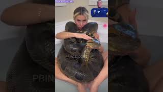 MAKING LOVE WITH A PYTHON 🐍 #subscribe #snake #shorts