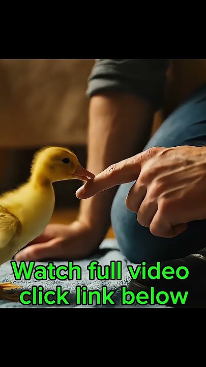 Full video link below