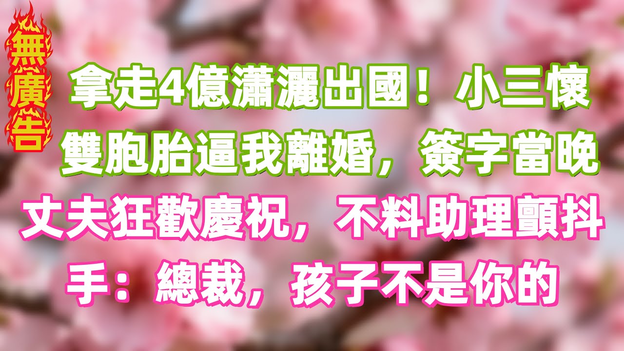 拿走4億瀟灑出國！小三懷雙胞胎逼我離婚，簽字當晚丈夫狂歡慶祝，不料助理顫抖遞上手機：總裁，孩子不是你的 