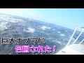 未知の海域で巨大魚のナブラに投げ込んだら大変なことに...(Vol.329)
