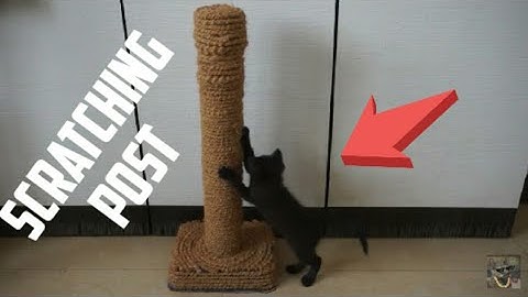 Amazing scratching pillar made for cat at home