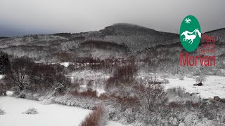 Le Morvan : Une autre vie s'invente ici !