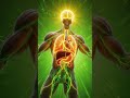 What Monster Energy Really Does Inside Your Body