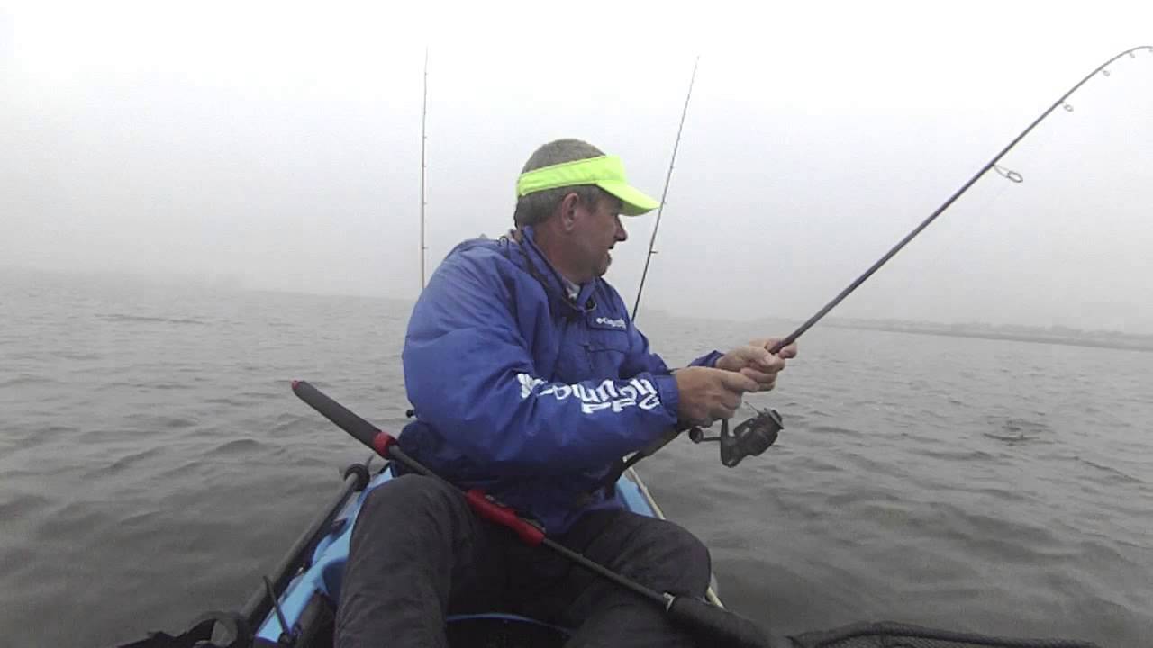 Unfair Lures Palma Sola