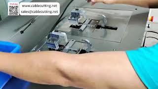 Double Head Desktop Cable Tie Machine with Adjustable Spacing and Replaceable Heads