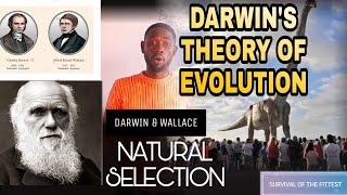 DARWIN'S THEORY OF EVOLUTION, NATURAL SELECTION by Alfred Wallace and Charles Darwin.