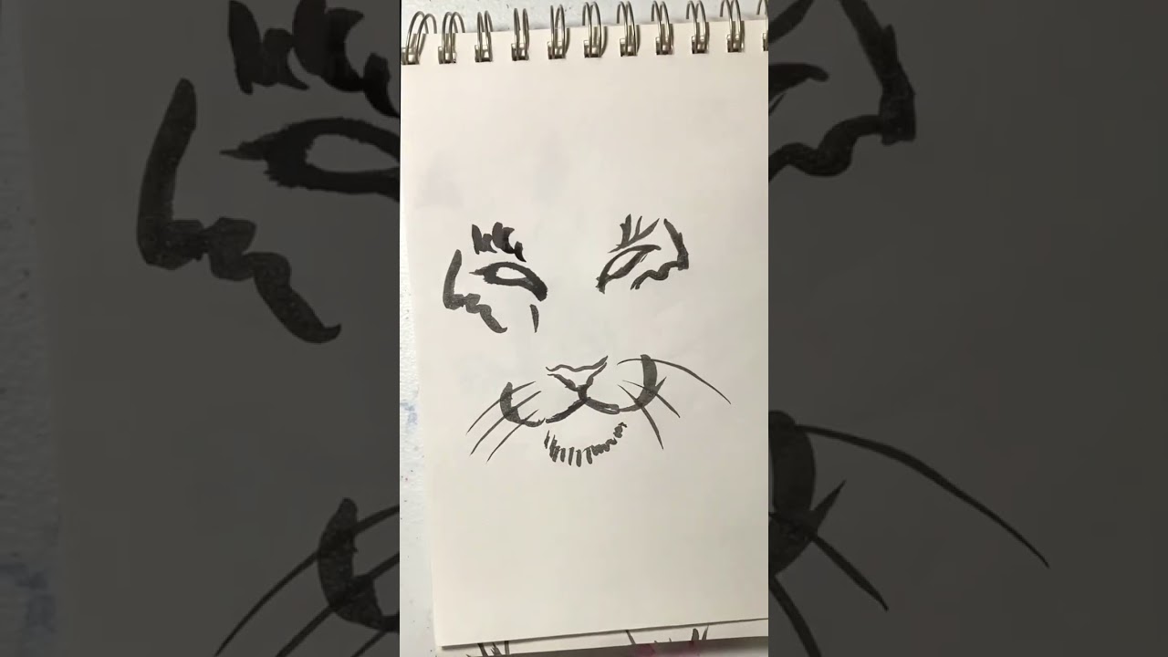 Tiger face 