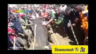 Download lagu SANCHO vs SHIONONYIA (Won🔥)