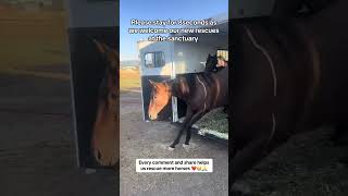 They say that a pure kind heart will receive more than it gives, so show kindness to the poor horse🙏
