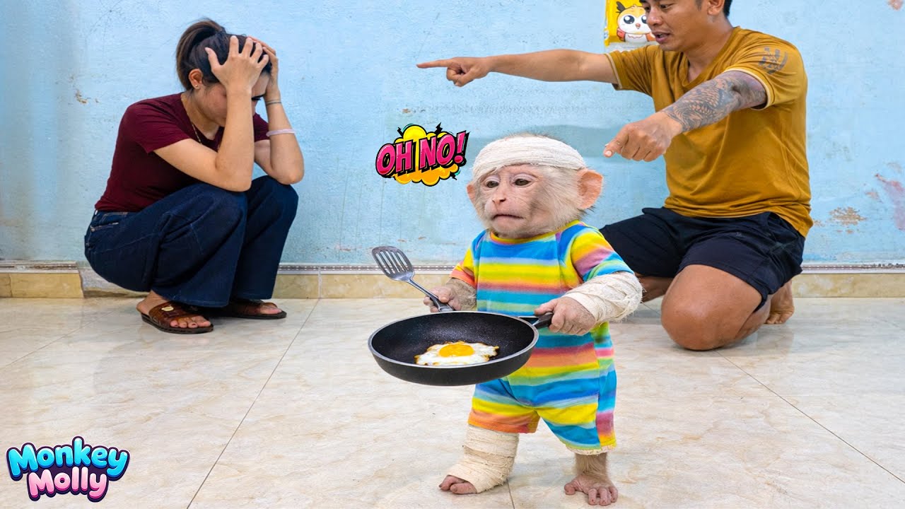 Monkey Molly sneaked into the kitchen to cook, leaving her parents extremely anxious