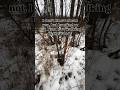 Hiking, scouting, exploring or whatever you want to call it - I love it #getoutside #shedhunting
