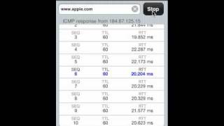 ICMP Ping screenshot 2