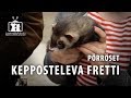 Fretit ja prrset  fretti on kepposteleva kaveri