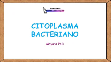 O que é citoplasma bacteriano?