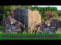 DOTO SWAKALA HALUSI KWA NKINGWA 0778332959 MBASHA STUDIO 