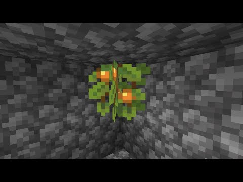 Minecraft 1.17.1: How To Grow Glow Berries