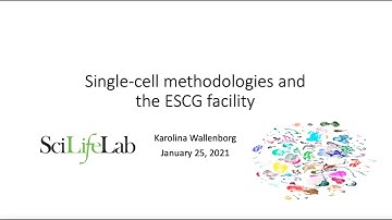 01 Single Cell Technologies — 03 SMARTseq