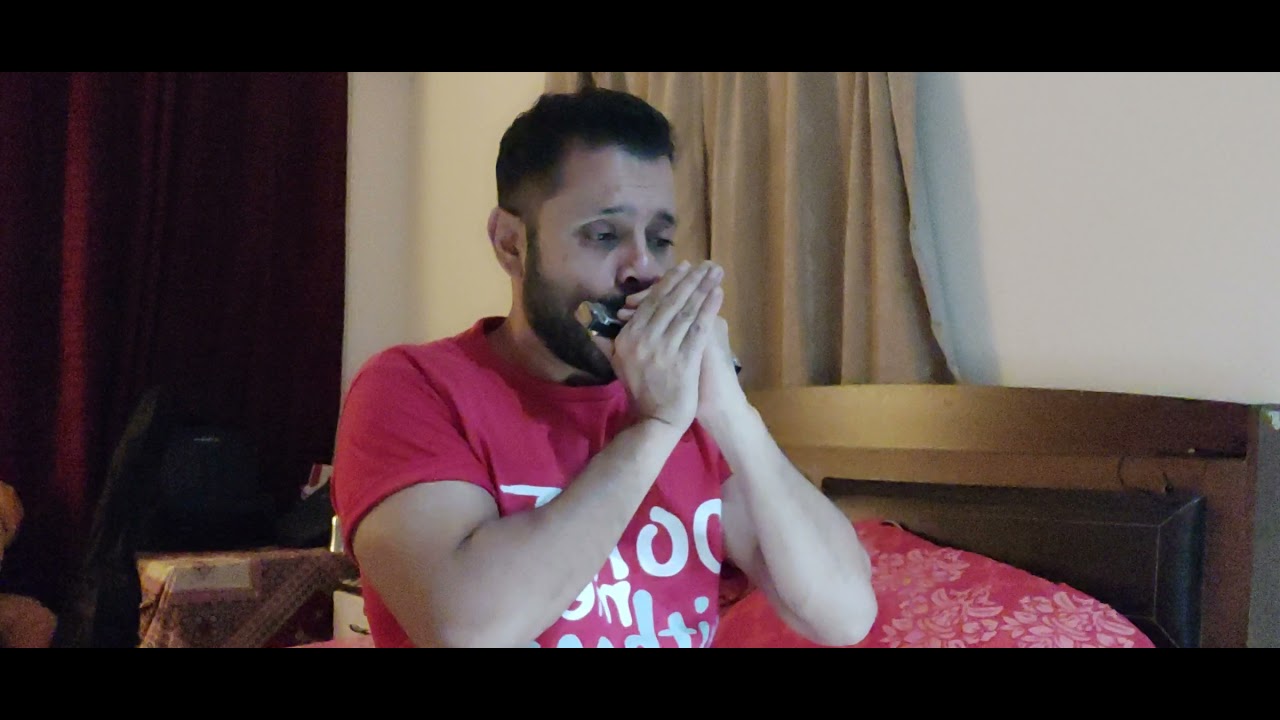 Harmonica / Mouth Organ Bollywood Fusion Mashup YouTube