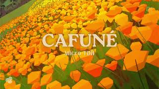 Cafuné | Micro tdh