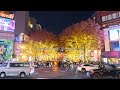 【4K東京・表参道】2024表参道 フェンディ イルミネーション／Omotesando FENDI Illumination