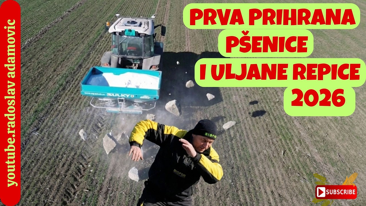 PRVA PRIHRANA PŠENICE I ULJANE REPICE 2026 ; KAKO SAM UMESTO UREE KUPIO BETON I UGRUDVAN VEŠTAK?!