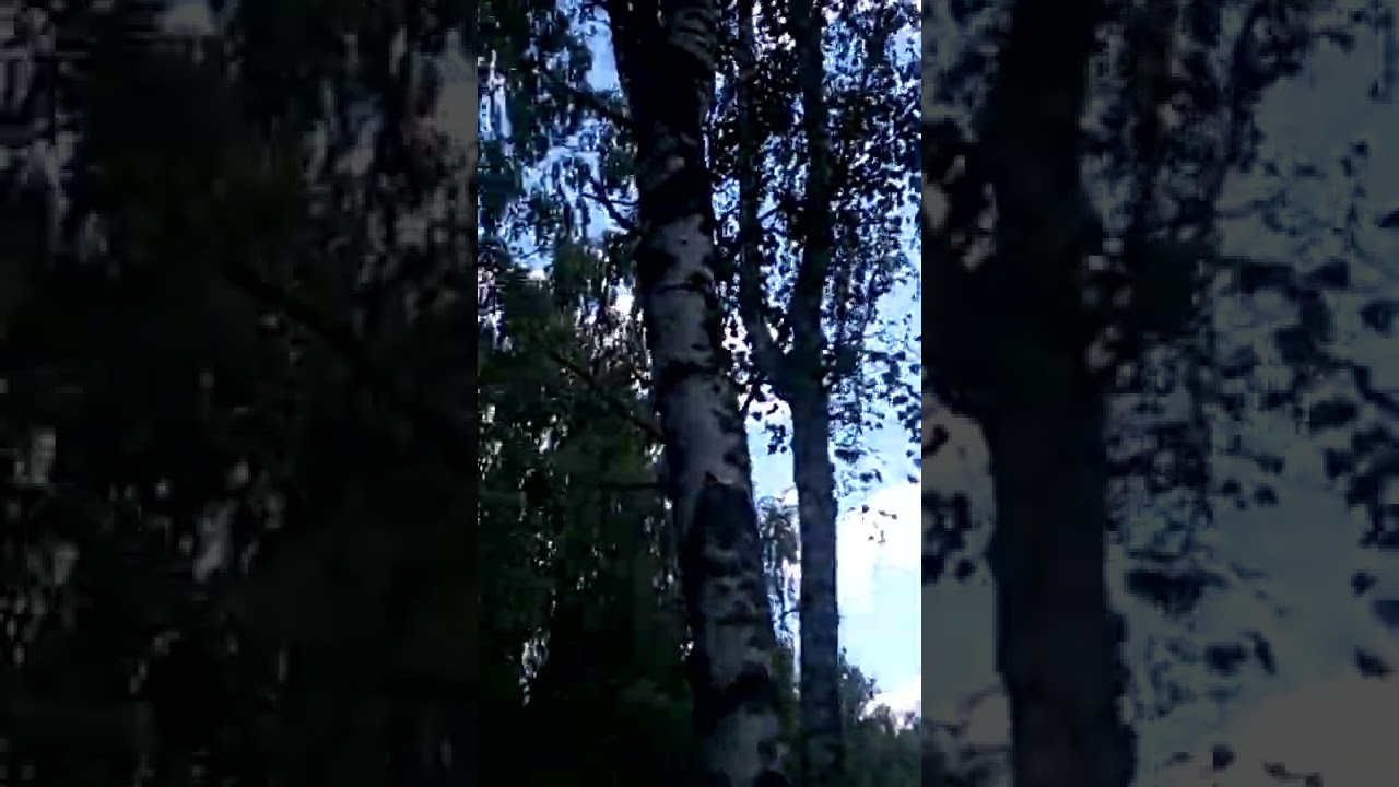 VID 20220625 1246031