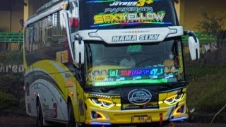 Cinematic bus nafit trans [SEXY YELLOW] Full strobo||