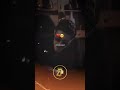 اوراق او حبري هيشام تيجيفي 