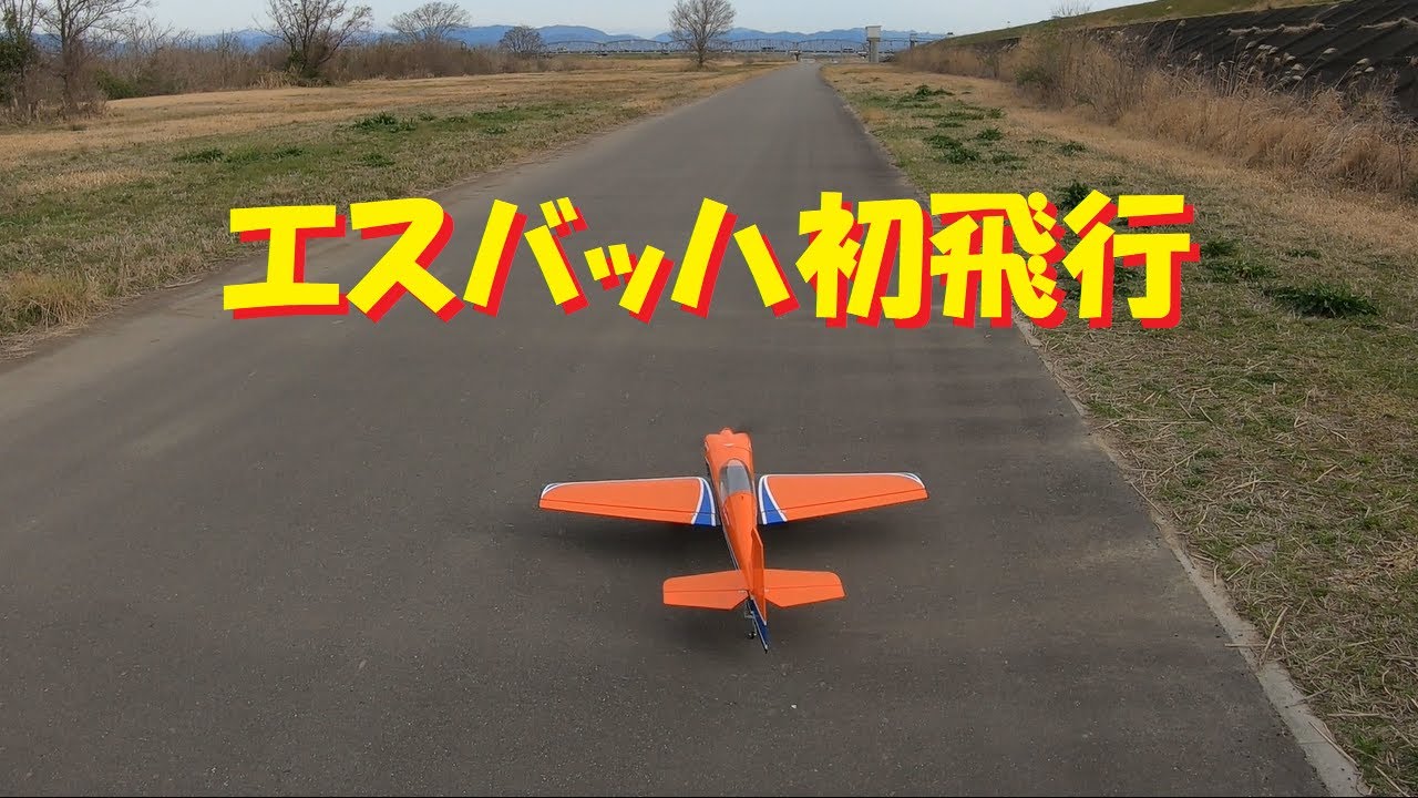 ラジコン飛行機】通販で買ったSBACH（エスバッハ） 342 初飛行 - YouTube