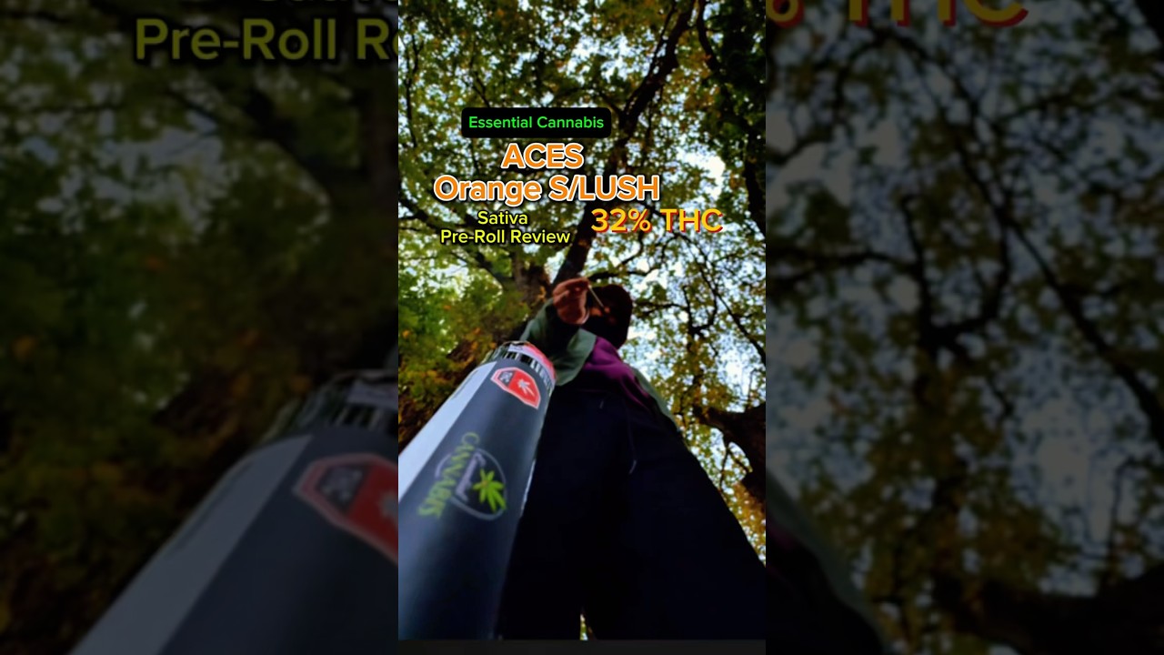 ACES Orange S/LUSH Sativa Pre-Roll Review | Essential Cannabis | 32% THC