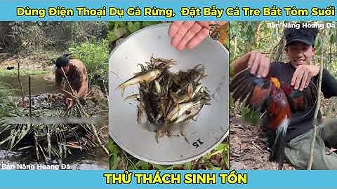 TSINH TỒN ( Tập 5) Sáng Ăn Chuột Tre Nướng, Tối Ăn Gà Rừng Siêu Chắc Thịt.
