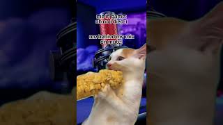 nothing gets between me and my snacks 🍿😋 #quadcast #micmuted #onmic