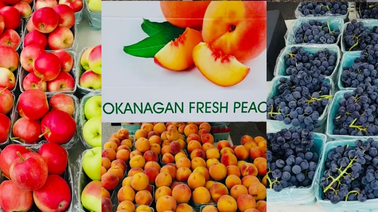 Moving To The Country Eat A Lot Of Peaches I Found Health at the Farmacy - Moving to the Country gonna Eat a lot