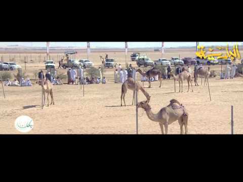 اغنيه سويحان 2016 قناة البادية