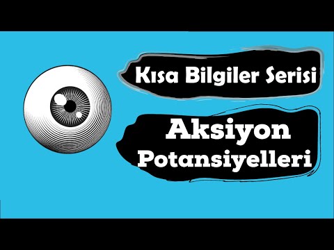 Polarizasyon , Depolarizasyon ve Repolarizasyon (Kısa Bilgiler Serisi)