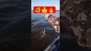 уловистая снасть на щуку окуня судака
